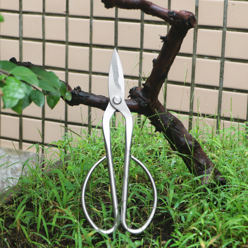 Concave Branch Cutter - Ciseaux de jardin tout en acier,
