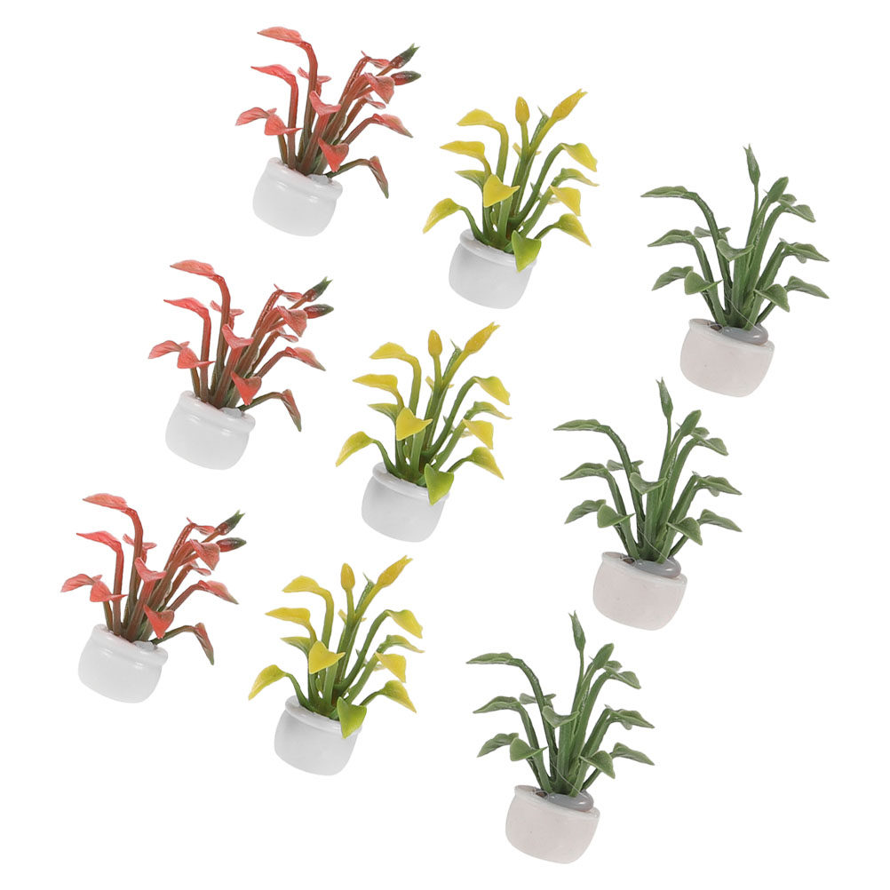 Bonsai Garden Desk - 9 Pièces de Plantes Miniatures en