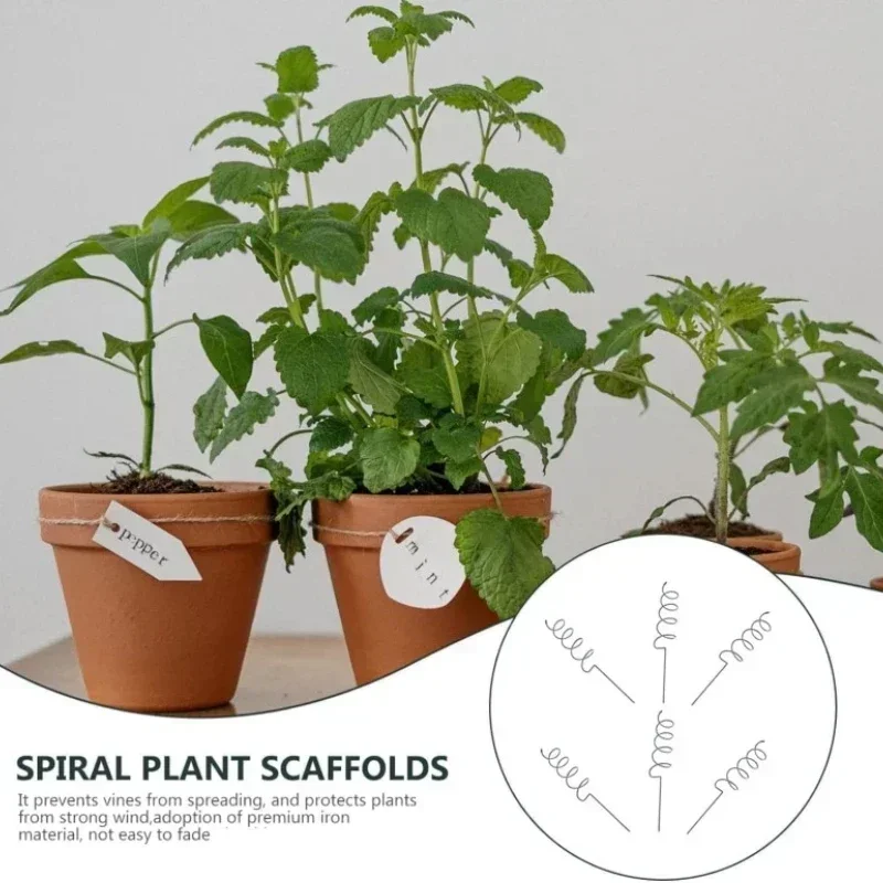 Support de plantes grimpantes, - Bonsai Garden Usa avis et prix