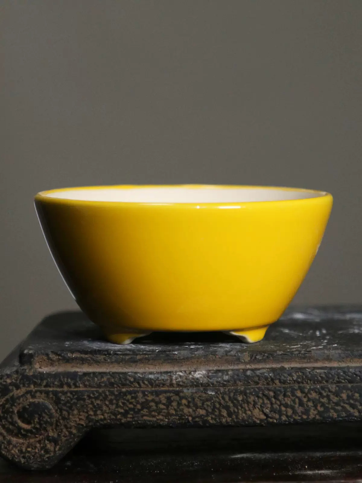 Pot à bonsaï rond coloré en po - Bonsai Garden Desk avis et prix