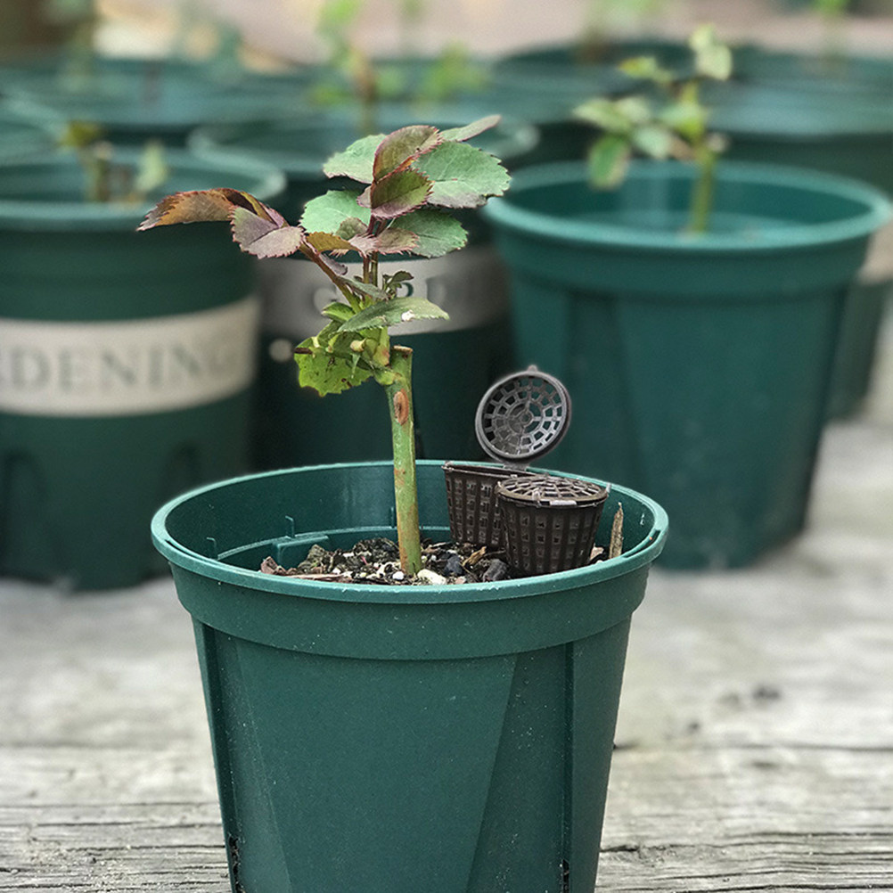 20 paniers à engrais en plasti - Bonsai Garden Usa avis et prix