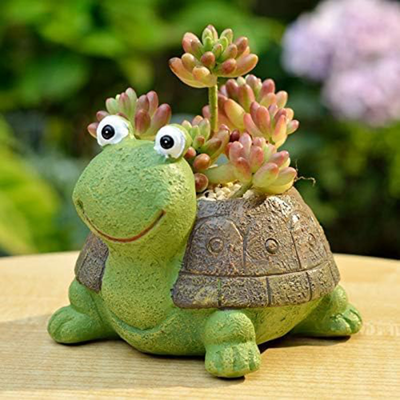 User inière de tortue bonsaï s - Bonsai Garden Desk avis et prix