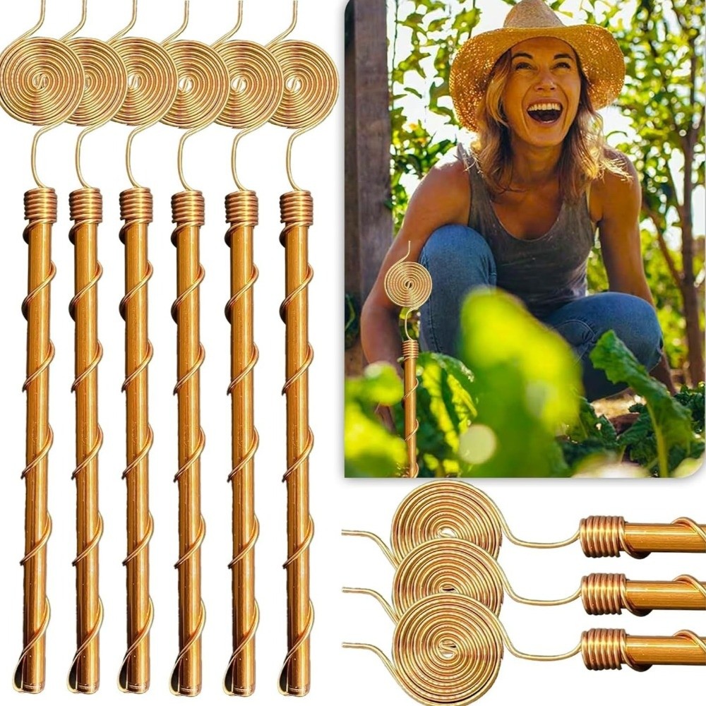 Piquets de jardin en spirale p - Copper Wire Roll avis et prix
