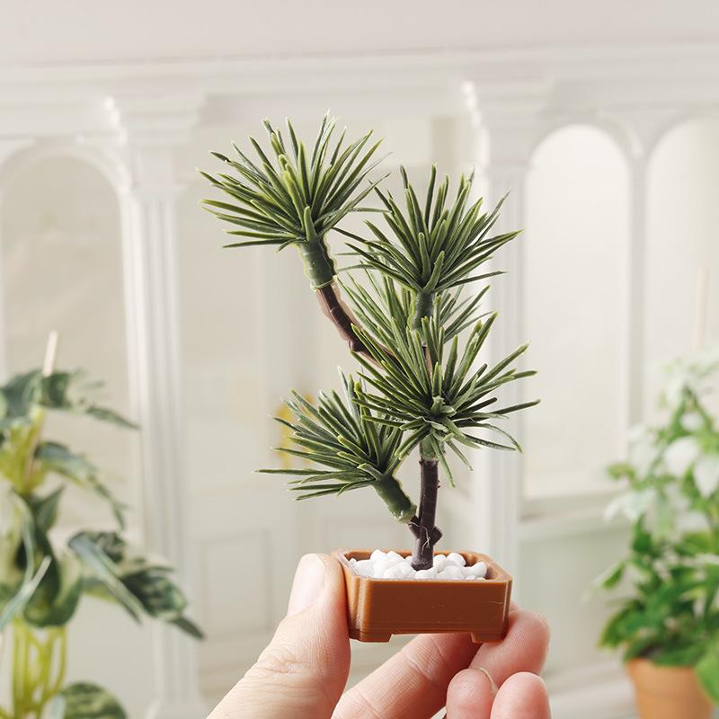 1 pièce, modèle de bonsaï de p - Bonsai Garden Usa avis et prix