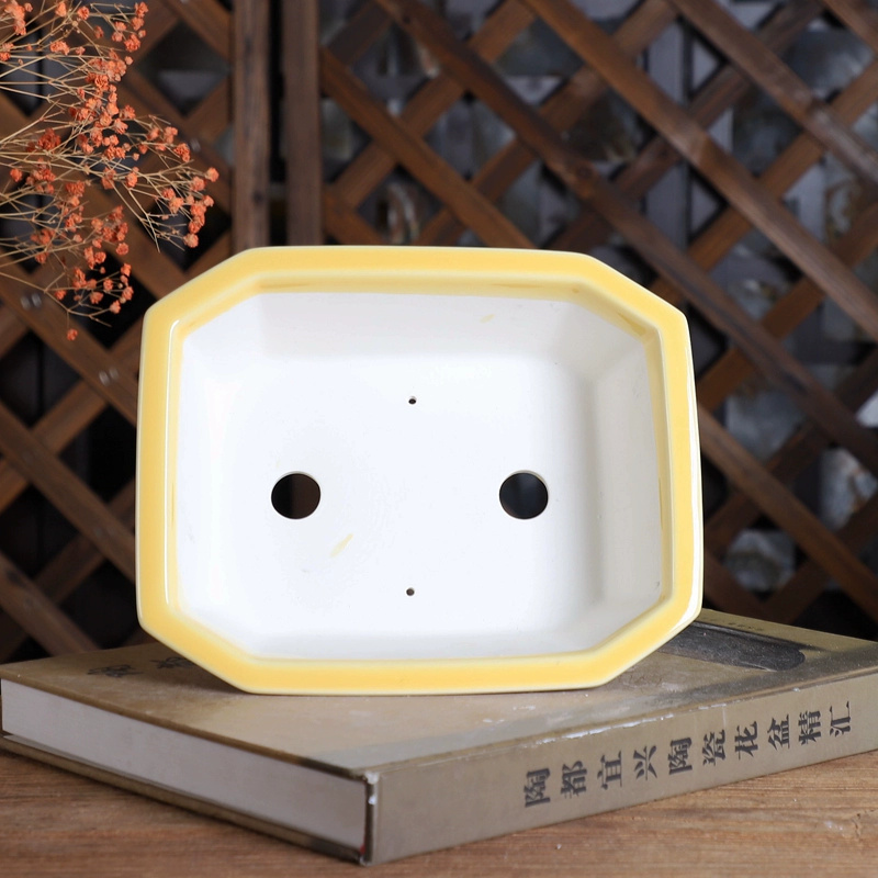 Pot à Bonsaï Rectangle en Porc - Bonsai Garden Desk avis et prix