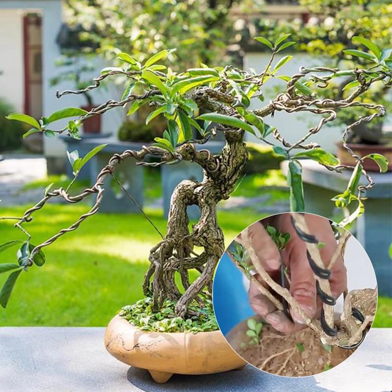 10 mètres de fils d’entraîneme - Bonsai Garden Usa avis et prix