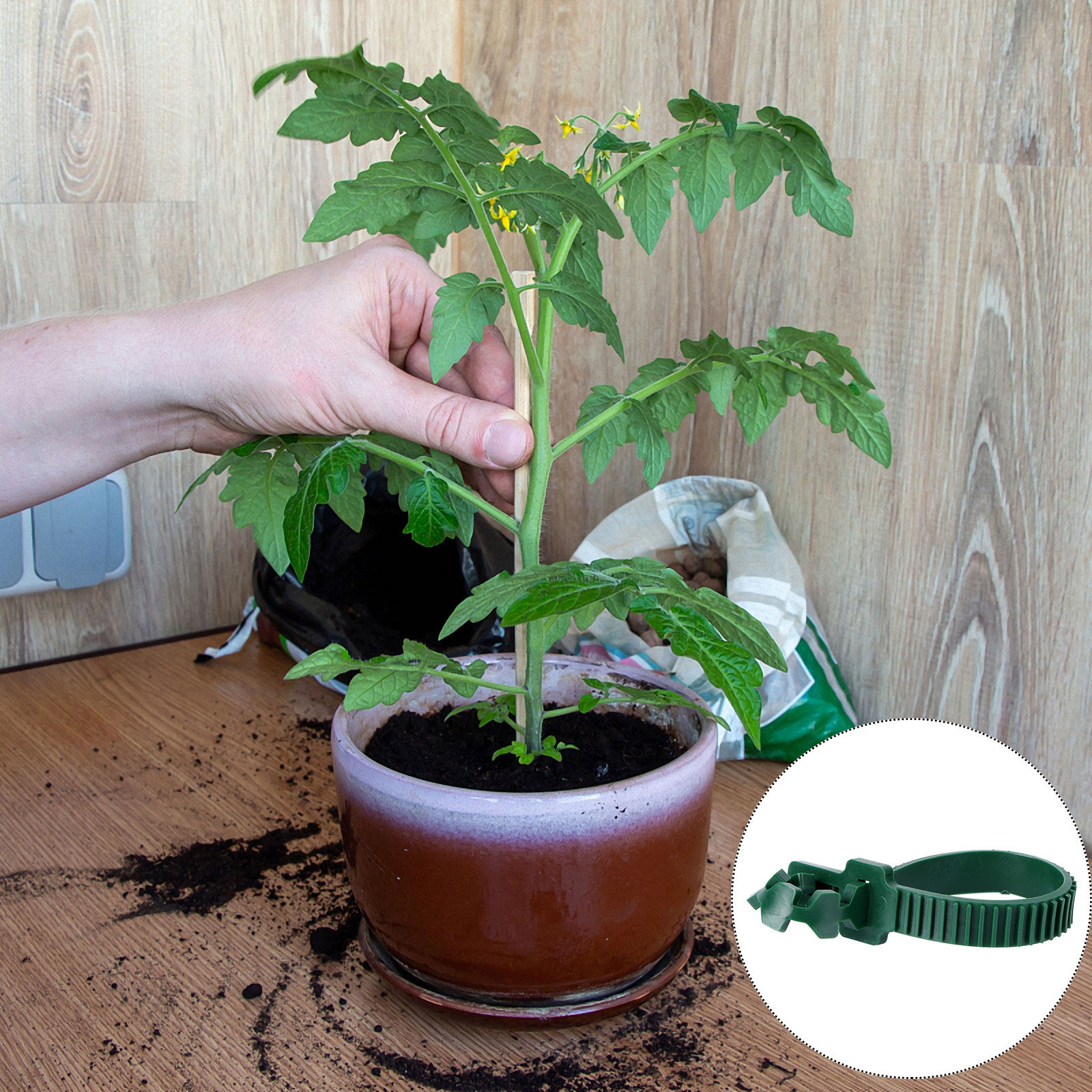 20 pièces de boucles de fixati - Bonsai Garden Usa avis et prix