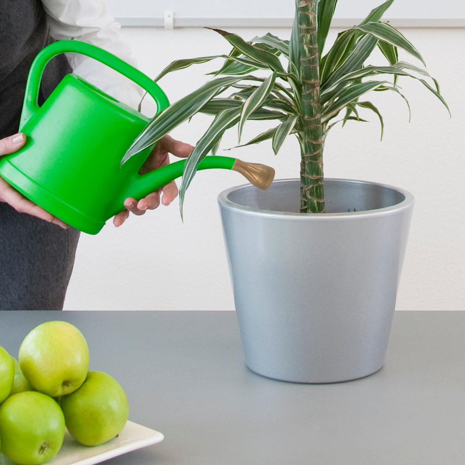 Buse d'arrosage pour jardin, a - Bonsai Garden Usa avis et prix