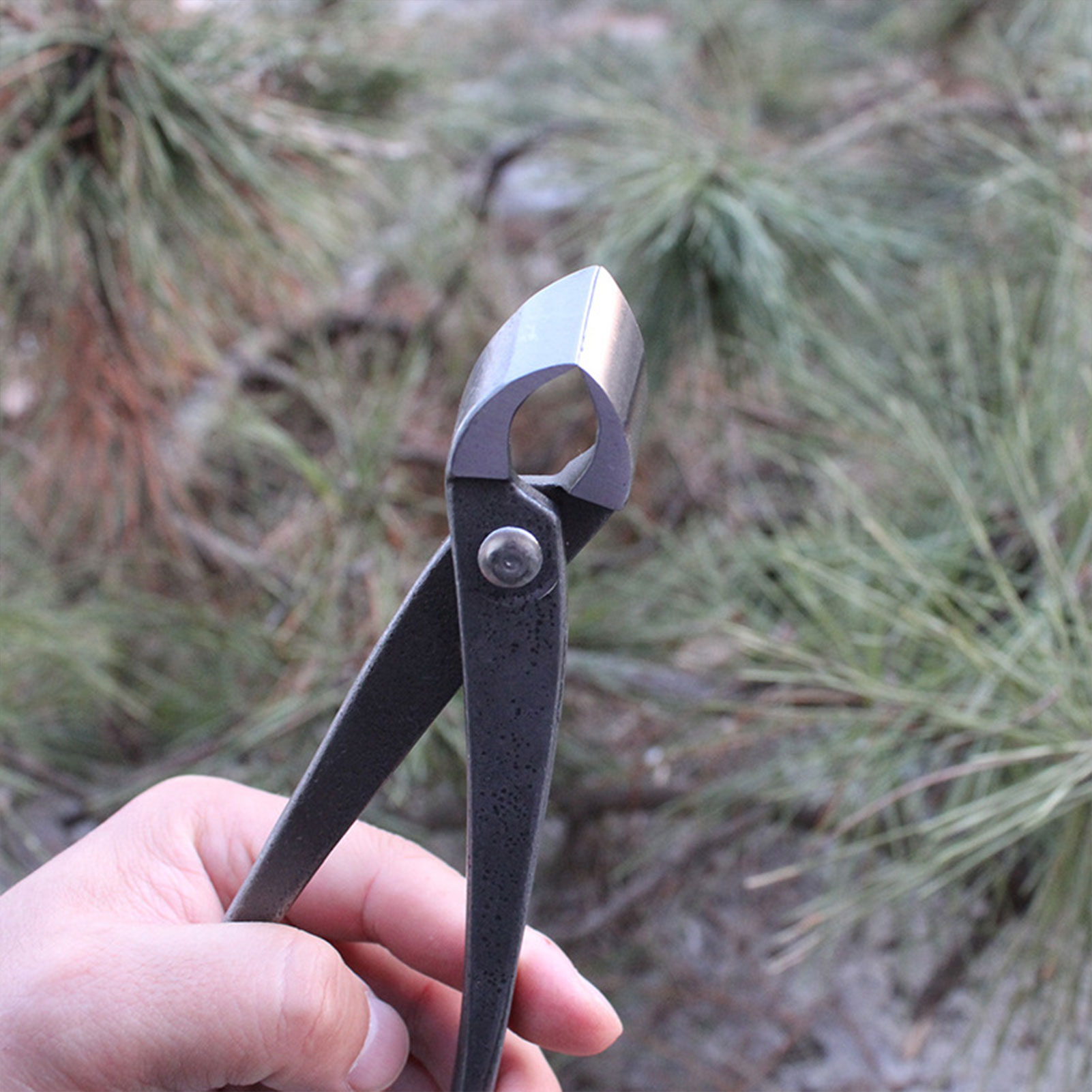 Coupe-bouton de bonsaï de jard - Concave Branch Cutter avis et prix