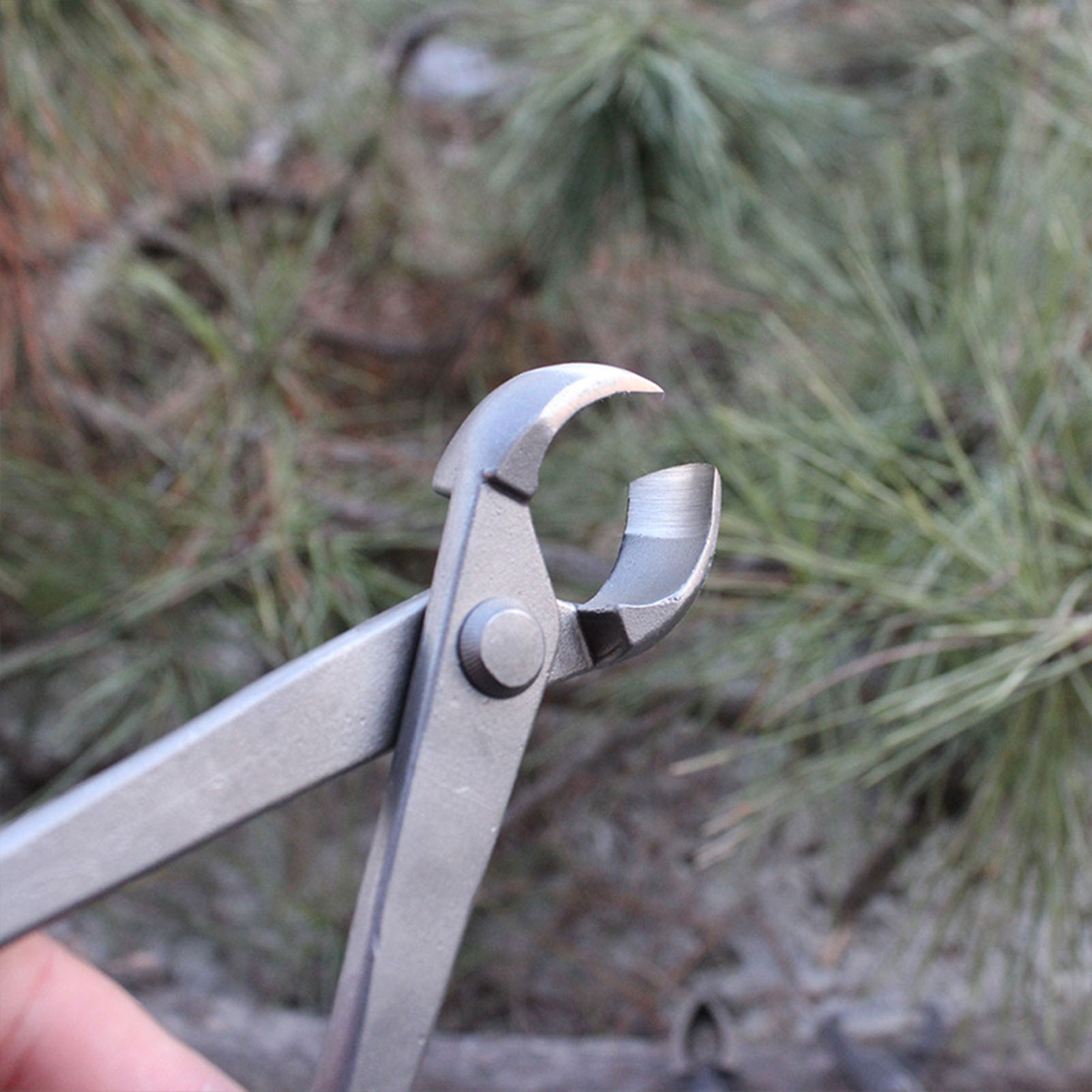 Coupe-bouton de bonsaï de jard - Concave Branch Cutter avis et prix