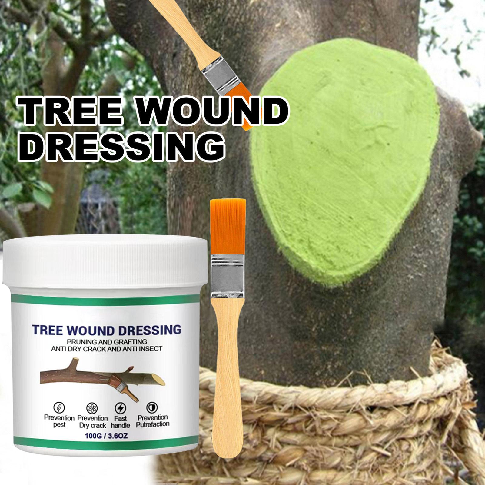 100g Scellant pour blessures d - Bonsai Garden Usa avis et prix