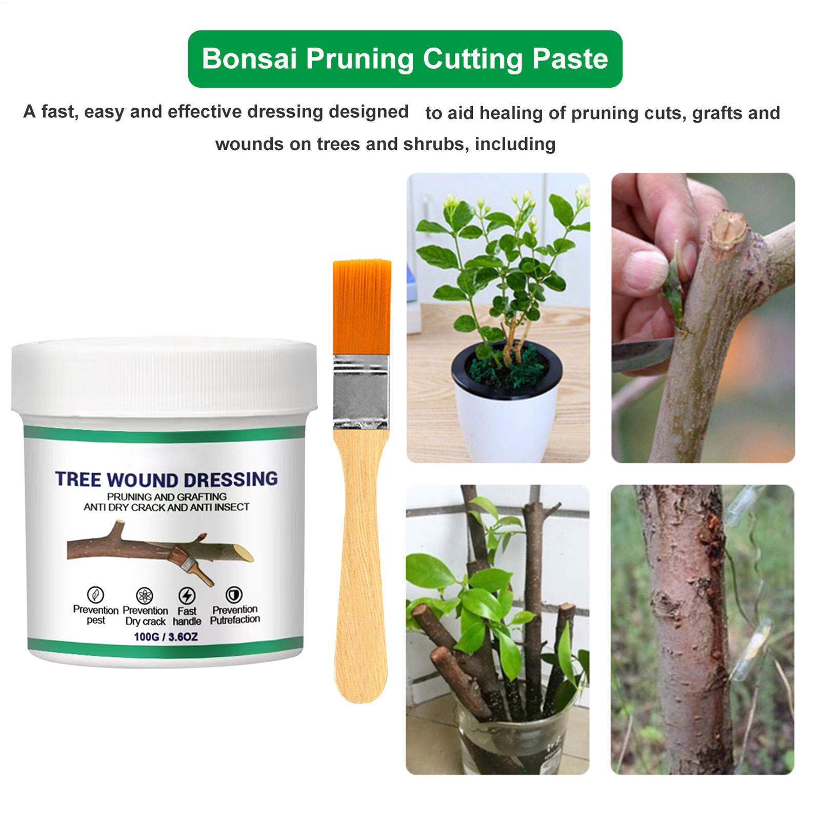 100g Scellant pour blessures d - Bonsai Garden Usa avis et prix