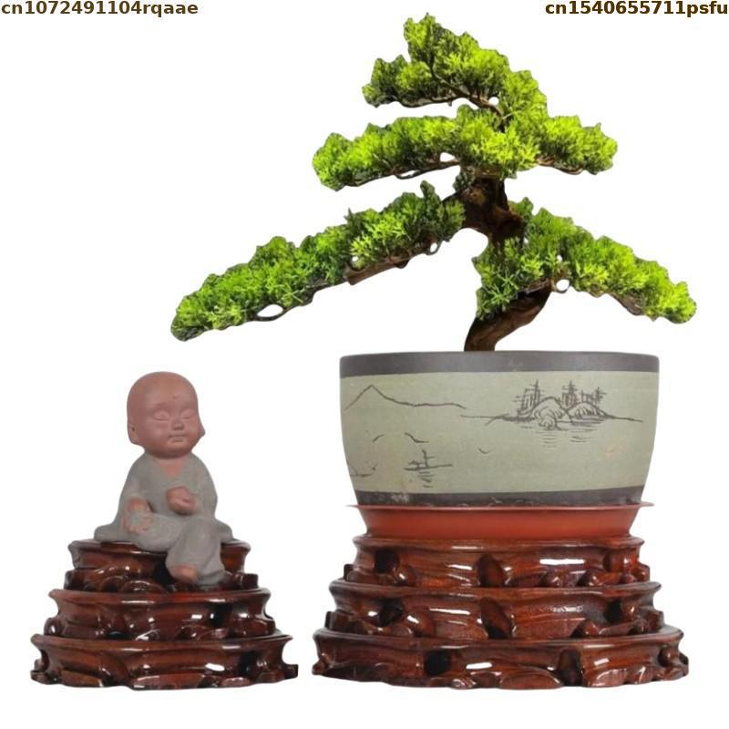 Vase de Base de Fleur Debout d - Bonsai Garden Display Stands avis et prix