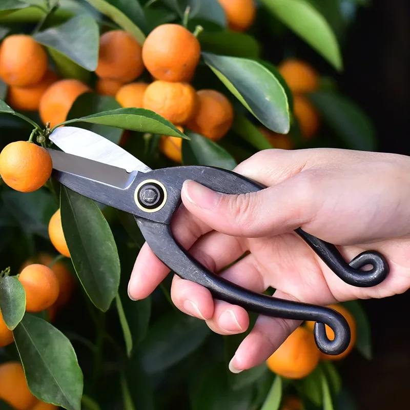 Sécateur de jardin en acier à  - Concave Branch Cutter avis et prix